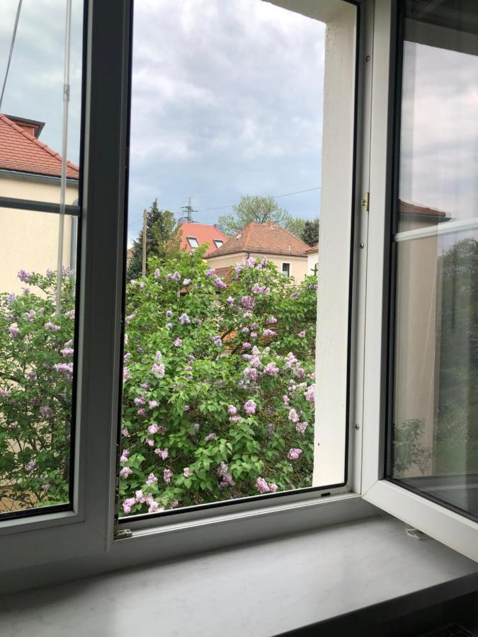 Wohlfuehloase Dresden Nickern 아파트 외부 사진