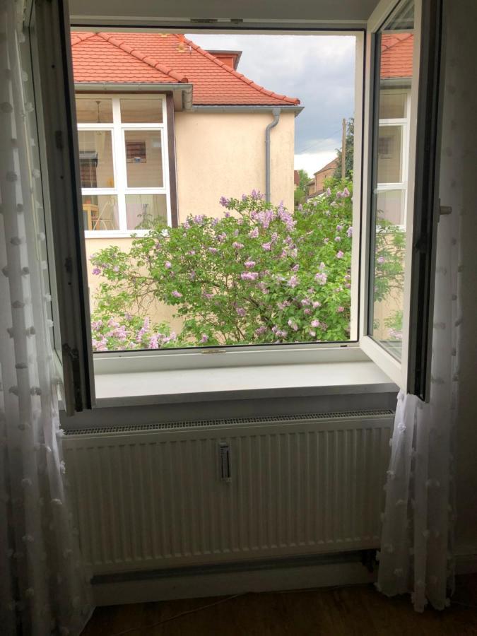 Wohlfuehloase Dresden Nickern 아파트 외부 사진